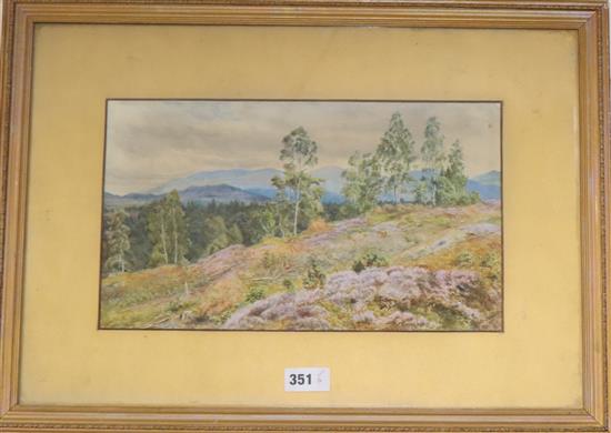 R. Martineau, watercolour, Heathland, signed and dated 1908, 22 x 38cm